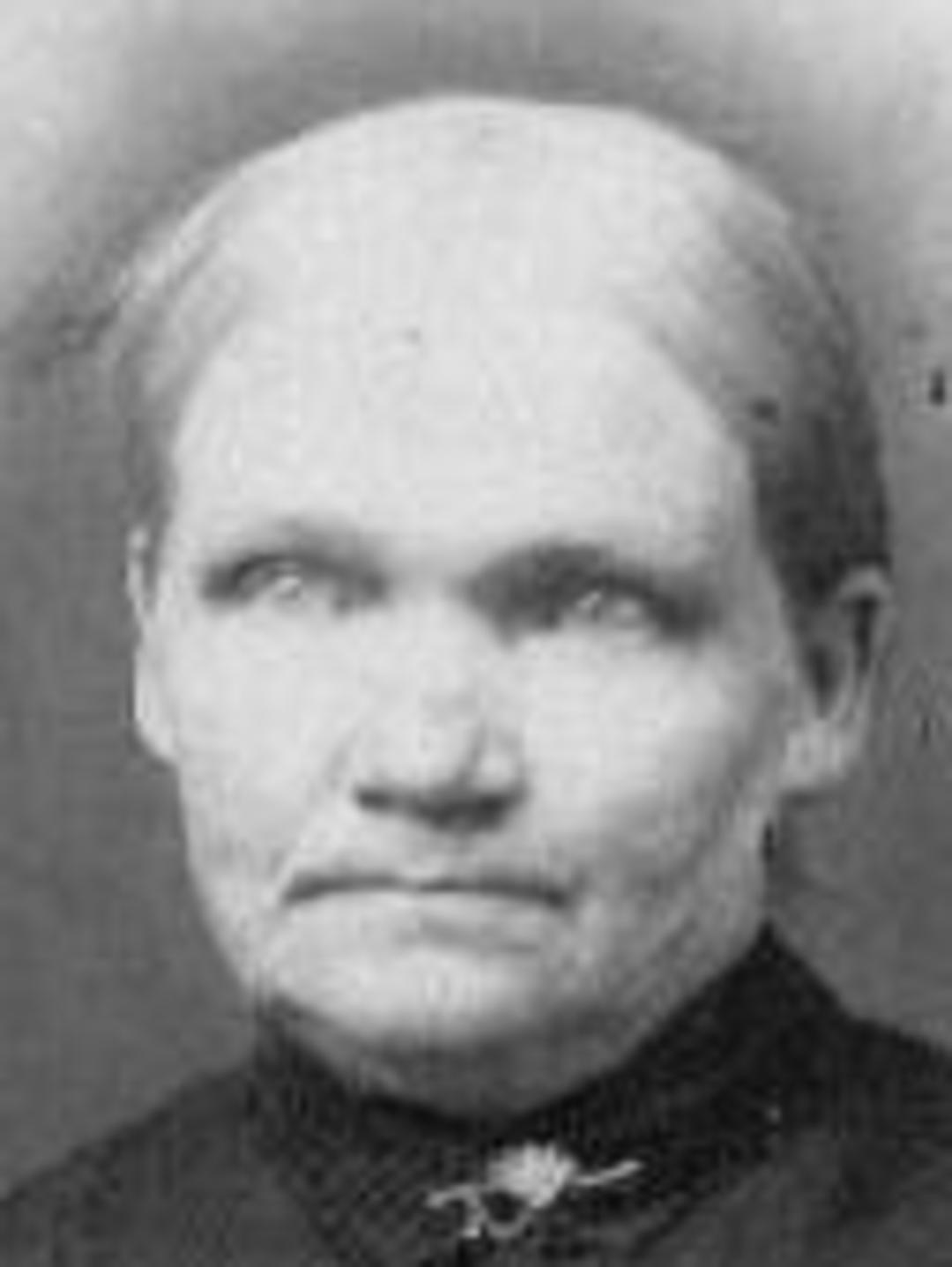 Karna Toolson (1833 - 1898) Profile